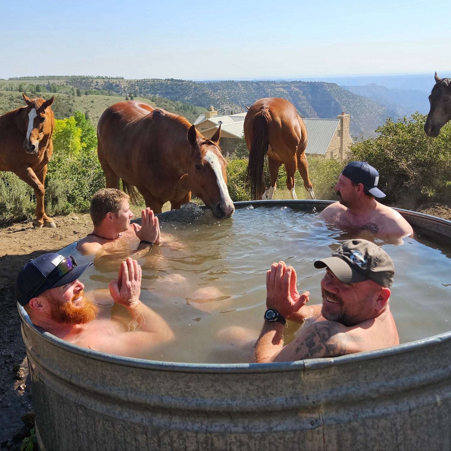 Group in cold plunge surrounded by horses